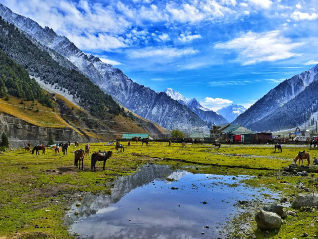 Pahalgam-Kashmir