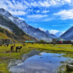 Pahalgam-Kashmir